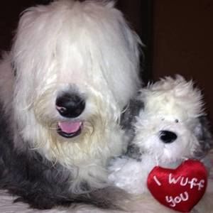 Meet your Posher, Lynn